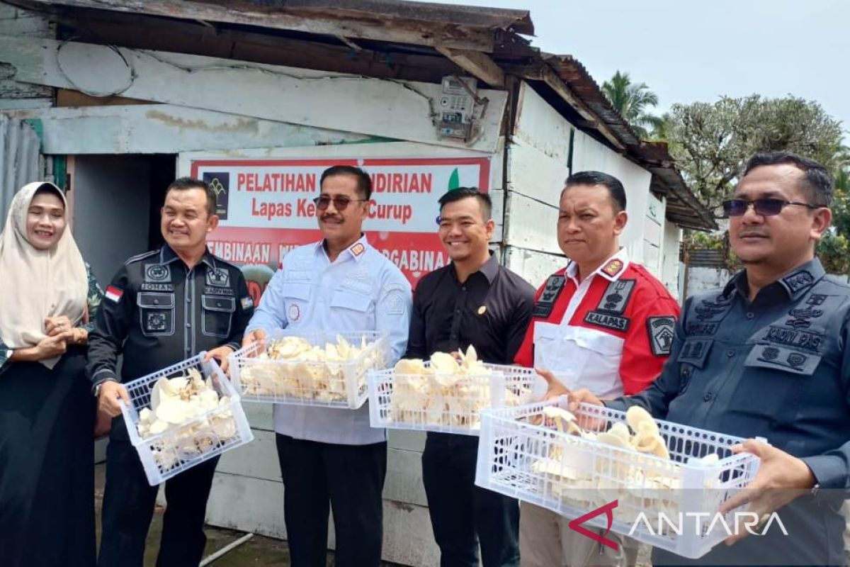 Warga binaan Lapas Curup bisa jadi petani jamur