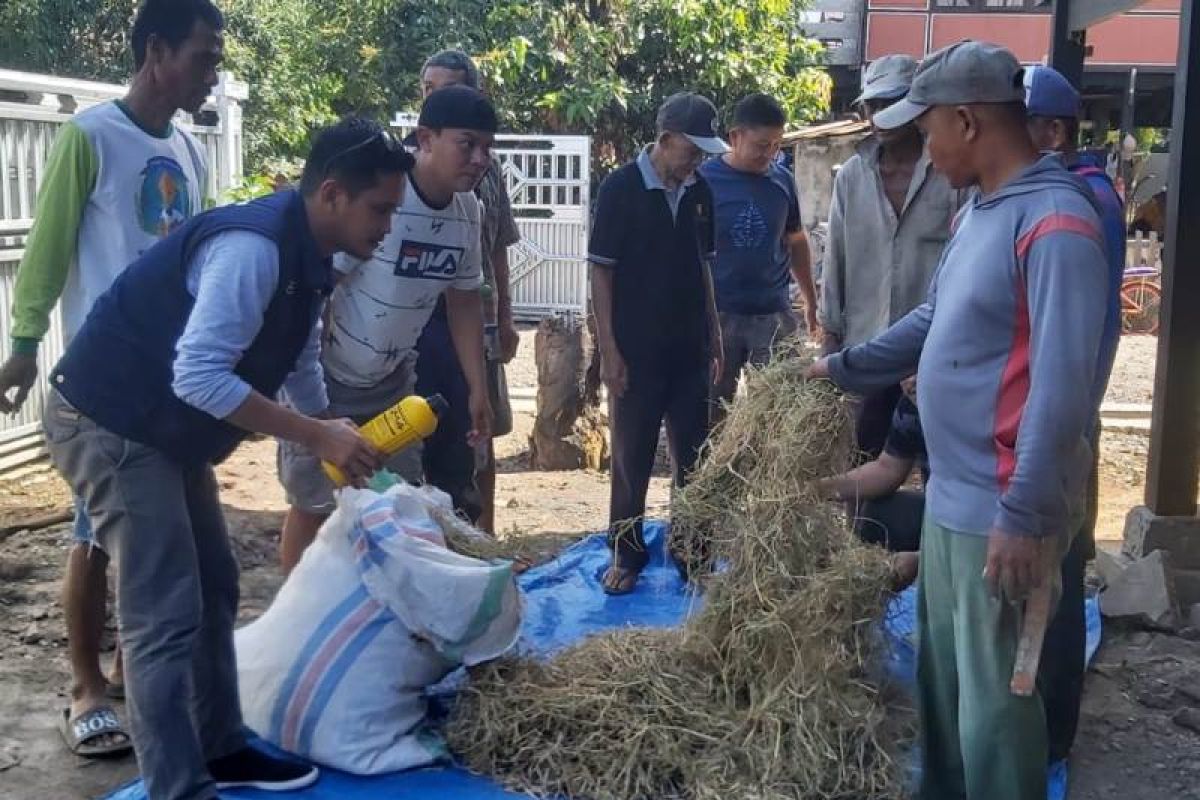 Pelatihan pupuk Kompos CSA dorong tingkatkan pertanian berbasis organik