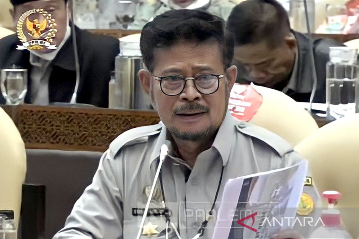 Kementan siapkan Rp2,3 triliun untuk Food Estate-sentra pangan di 2023