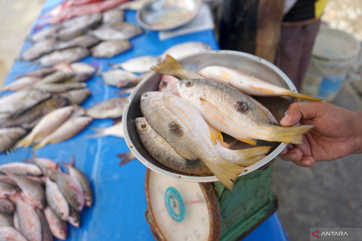 Harga ikan segar di Gorontalo naik akibat tangkapan nelayan  turun