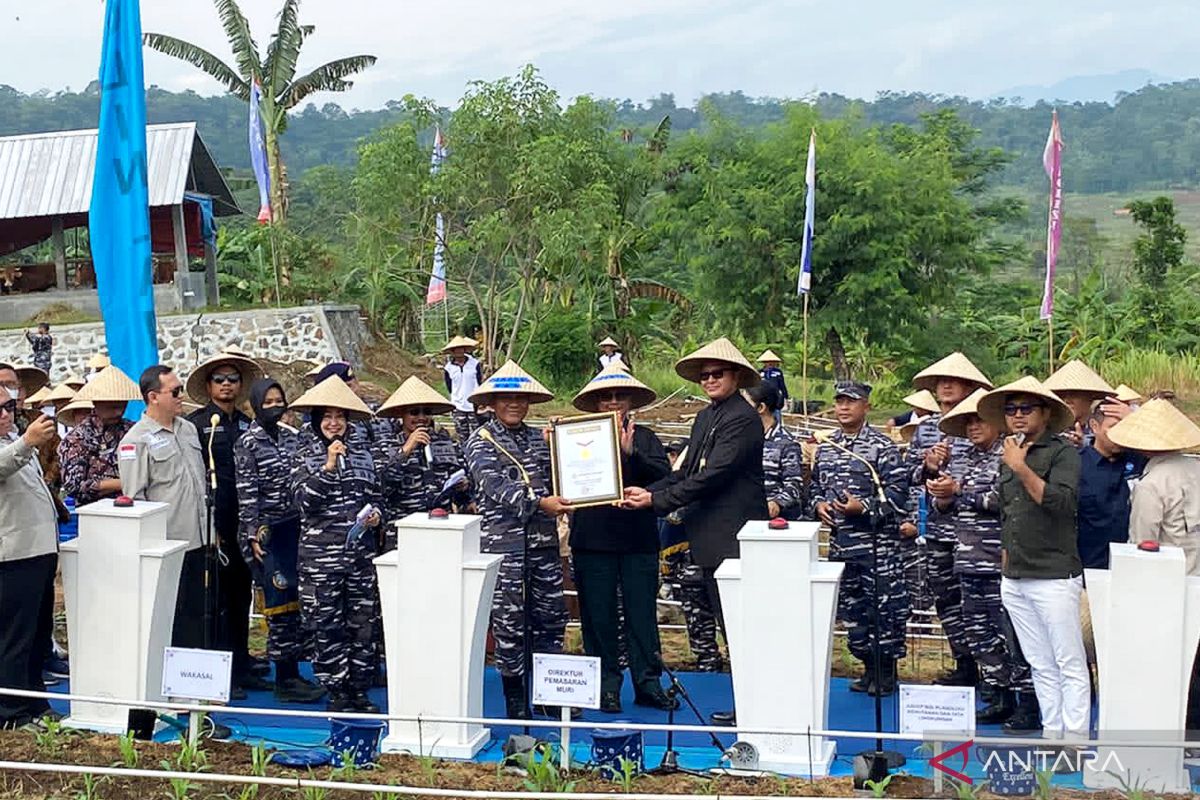 TNI AL raih penghargaan MURI tanam sorgum di lokasi terbanyak di dunia