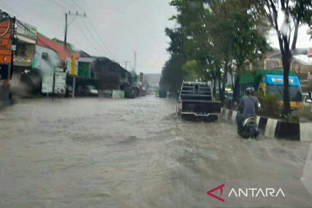 Kemarin, banjir Samarinda hingga bunga Rafflesia arnoldi mekar