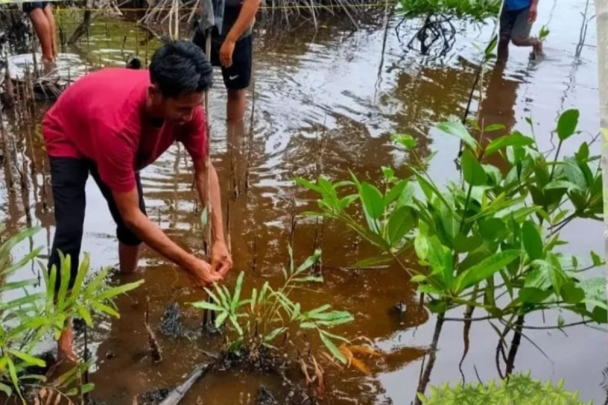 Dislutkan Kalteng libatkan masyarakat pesisir awasi hutan mangrove