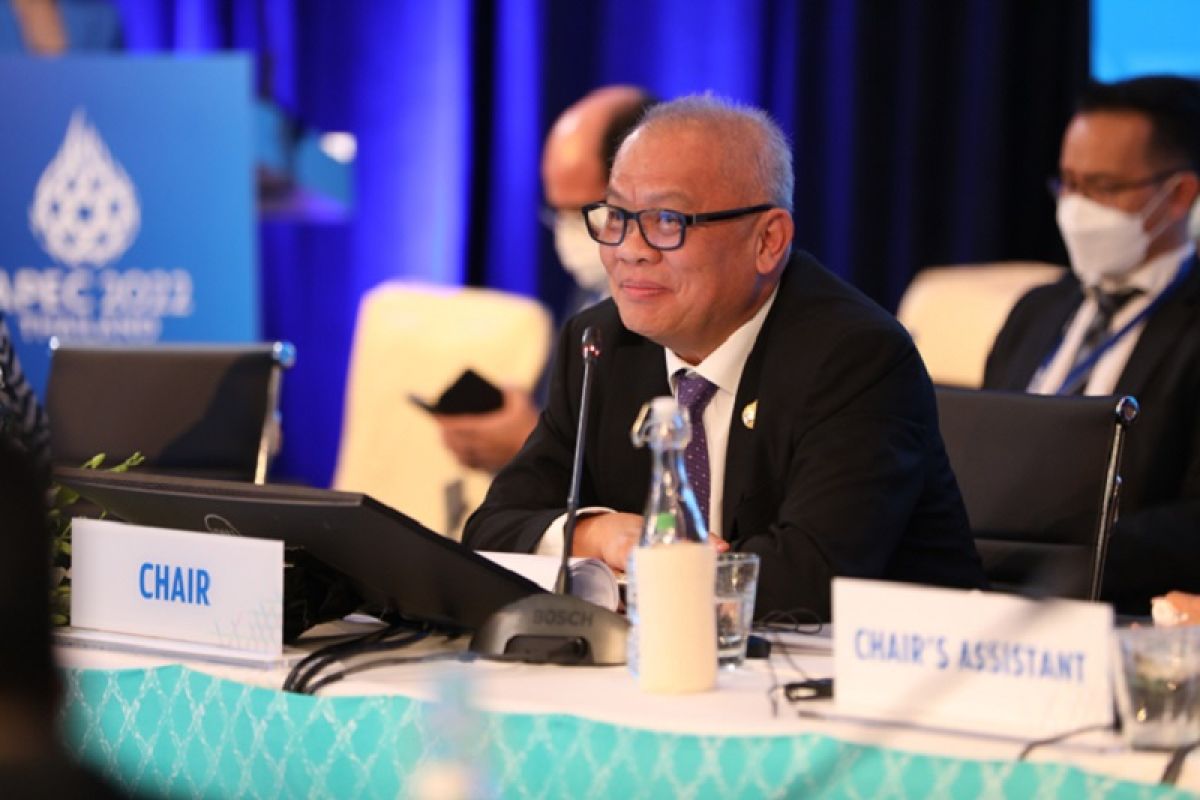 APEC ministers aim for recovery, resilience of  small businesses