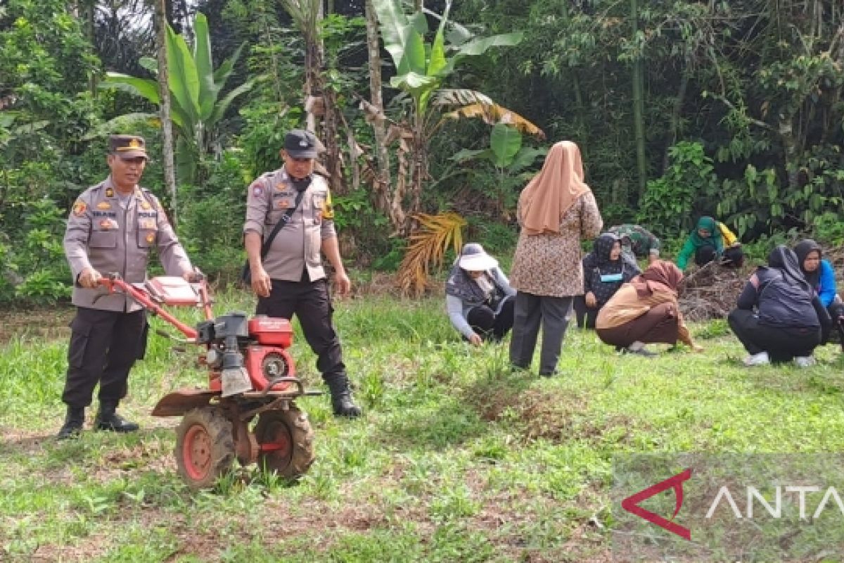 Dukung ketahanan pangan, Polsek Batang Toru tanam palawija di lahan warga