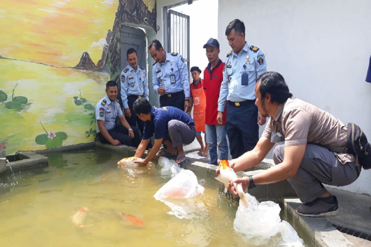 Narapidana kasus terorisme budidayakan Ikan Koi di Lapas Klaten