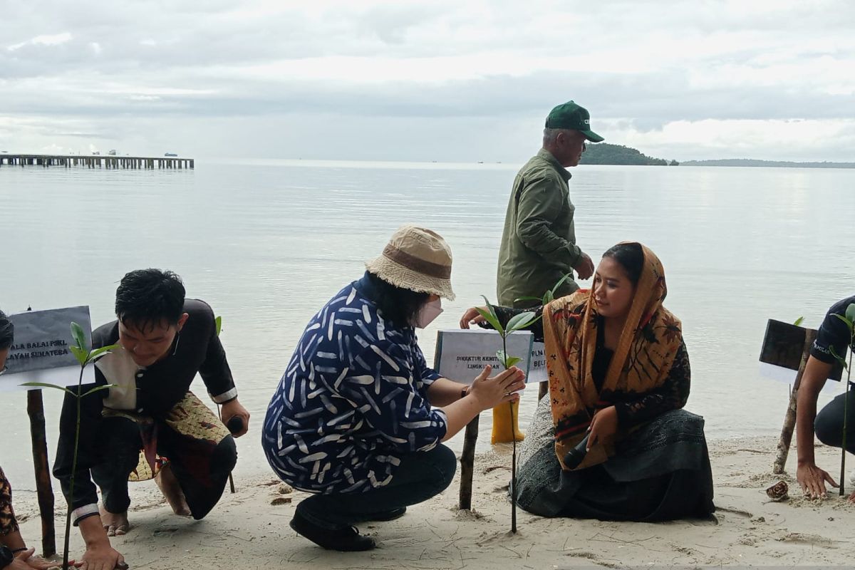 KLHK ajak masyarakat Belitung lestarikan tanaman bakau