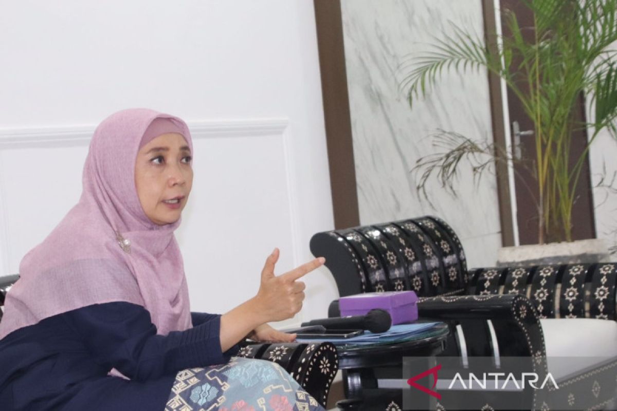 Wagub NTB mengajak generasi milenial optimalkan transformasi digital