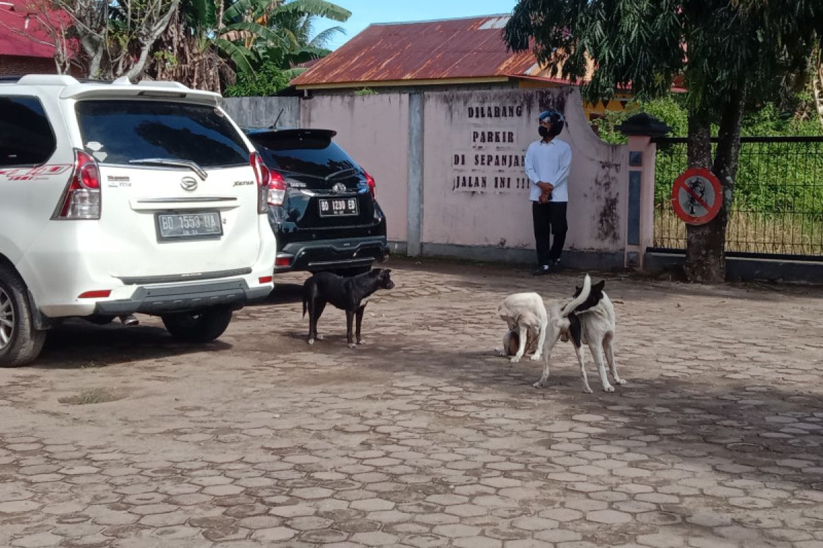 Distan Mukomuko bentuk satgas khusus eliminasi anjing liar