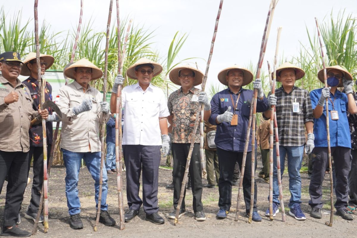 Perhutani komit manfaatkan hutan untuk swasembada gula nasional