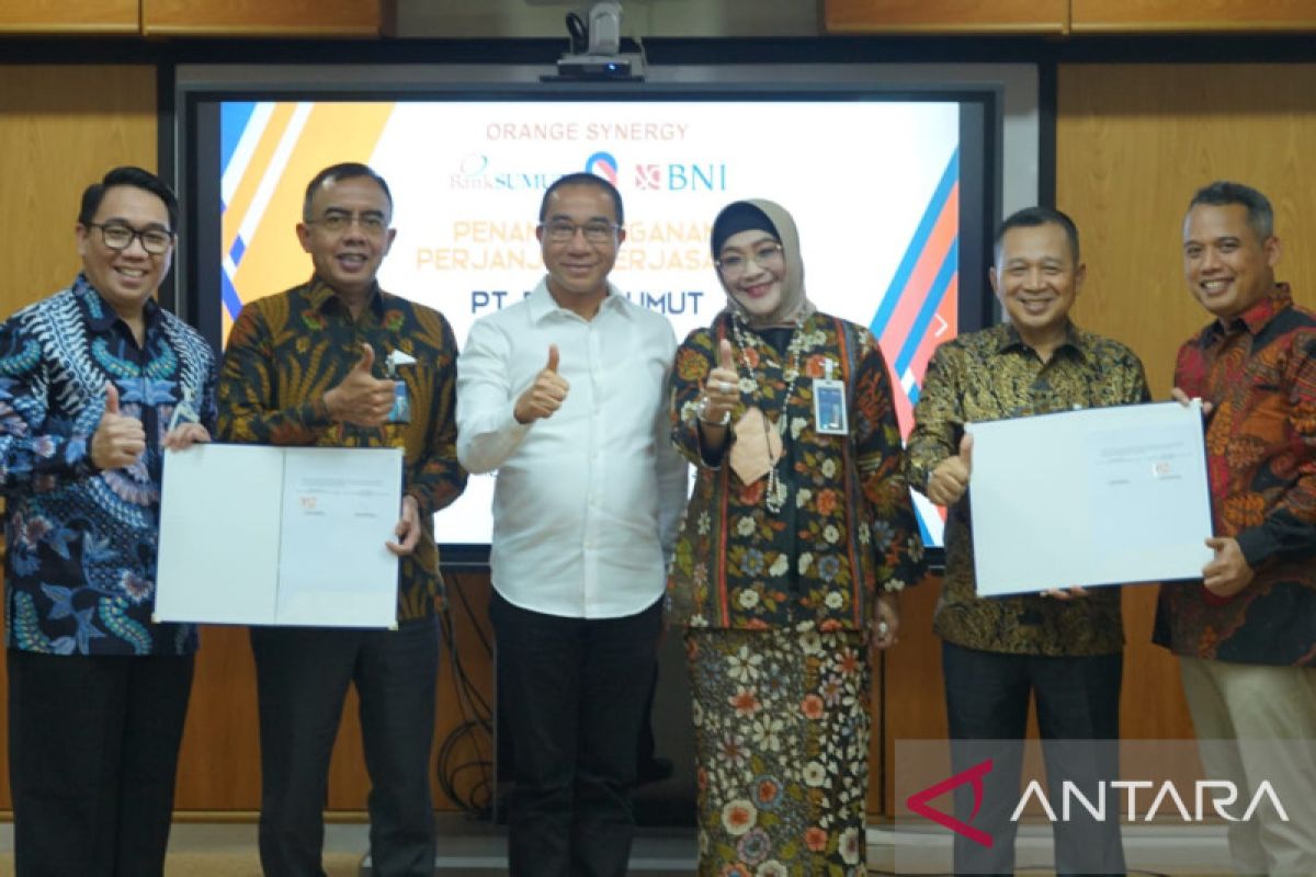 BNI-Bank Sumut terbitkan Kartu Kredit Pemerintah Domestik