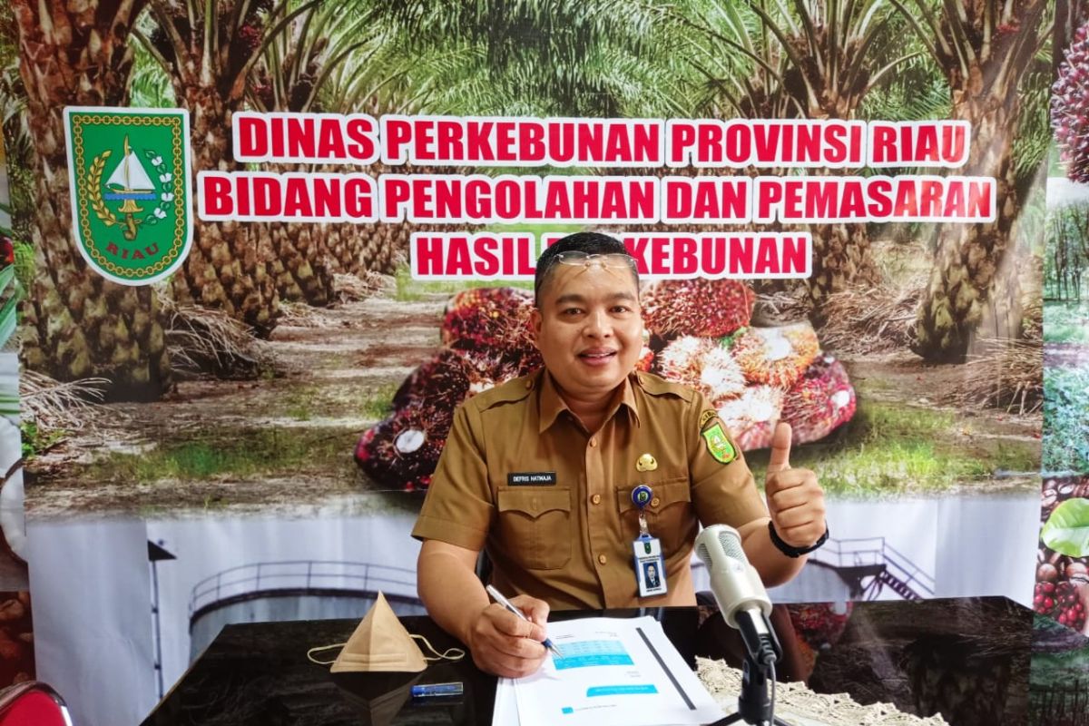Harga CPO di Riau turun Rp64,25/kg