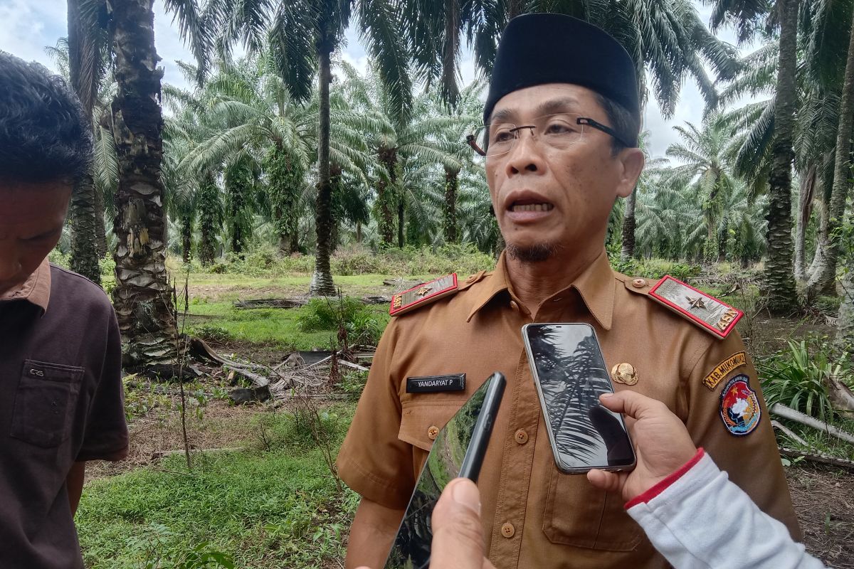 Pemkab Mukomuko larang pejabat jadi penyelenggara pemilu