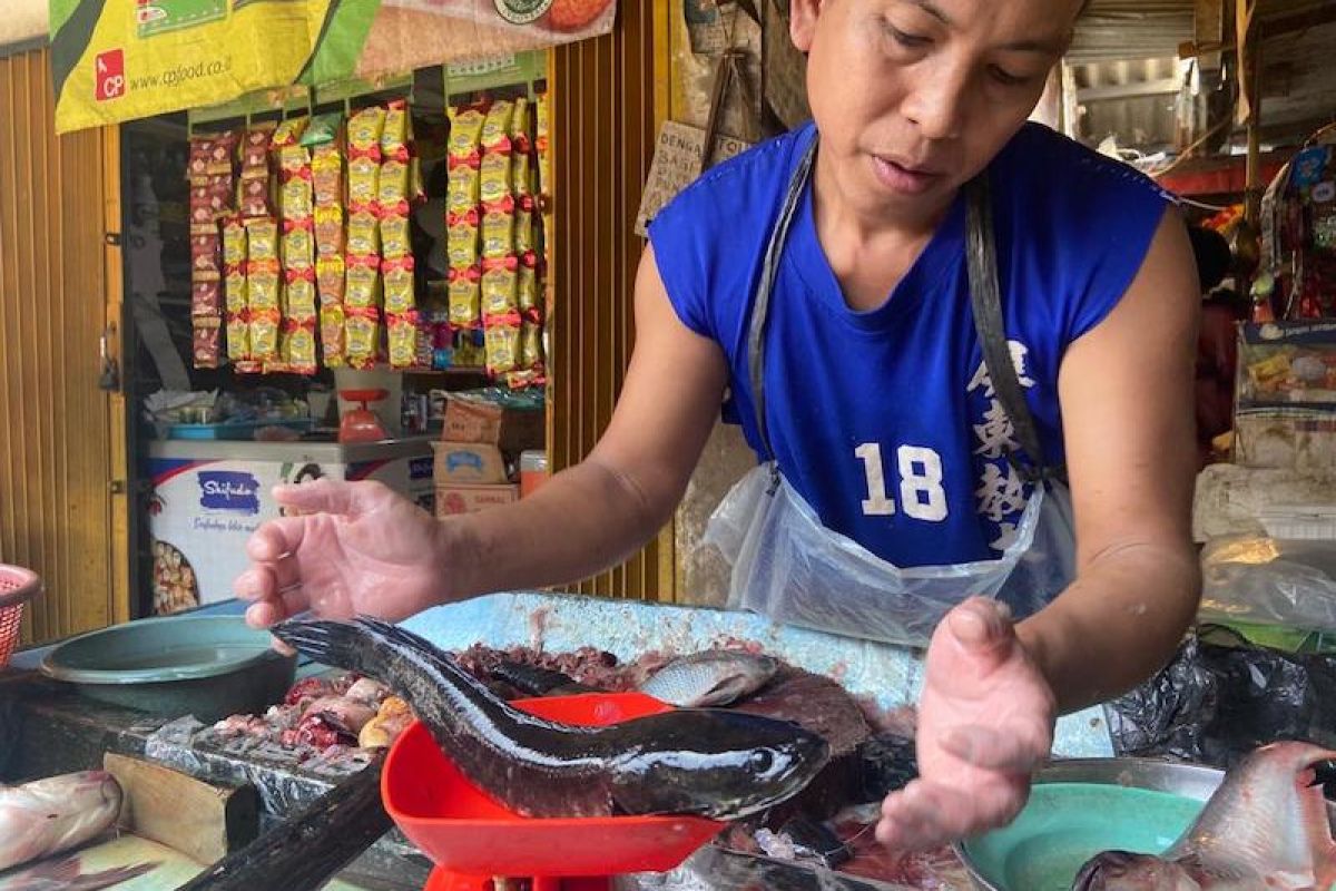 Pemkab Banyuasin kembangkan produk turunan ikan gabus