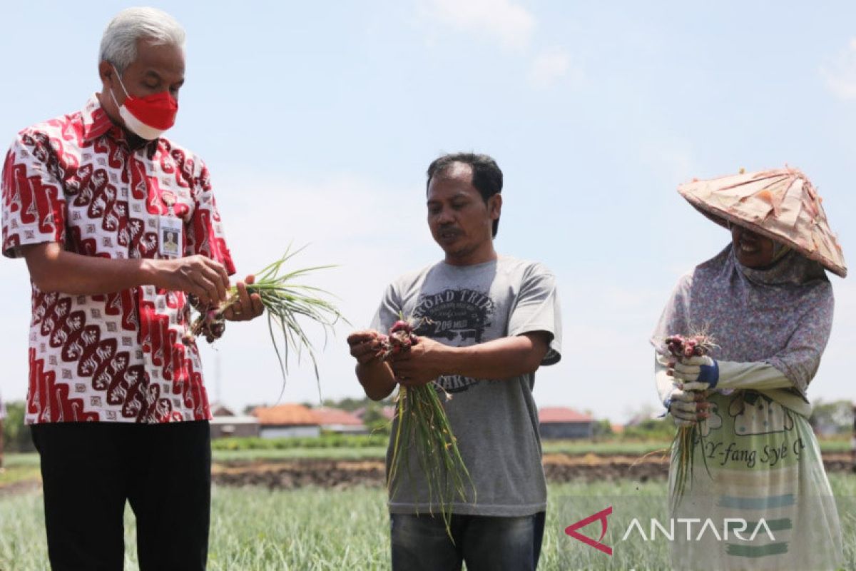 Ganjar buka posko pelayanan pupuk bersubsidi di 35 kabupaten/kota se-Jateng