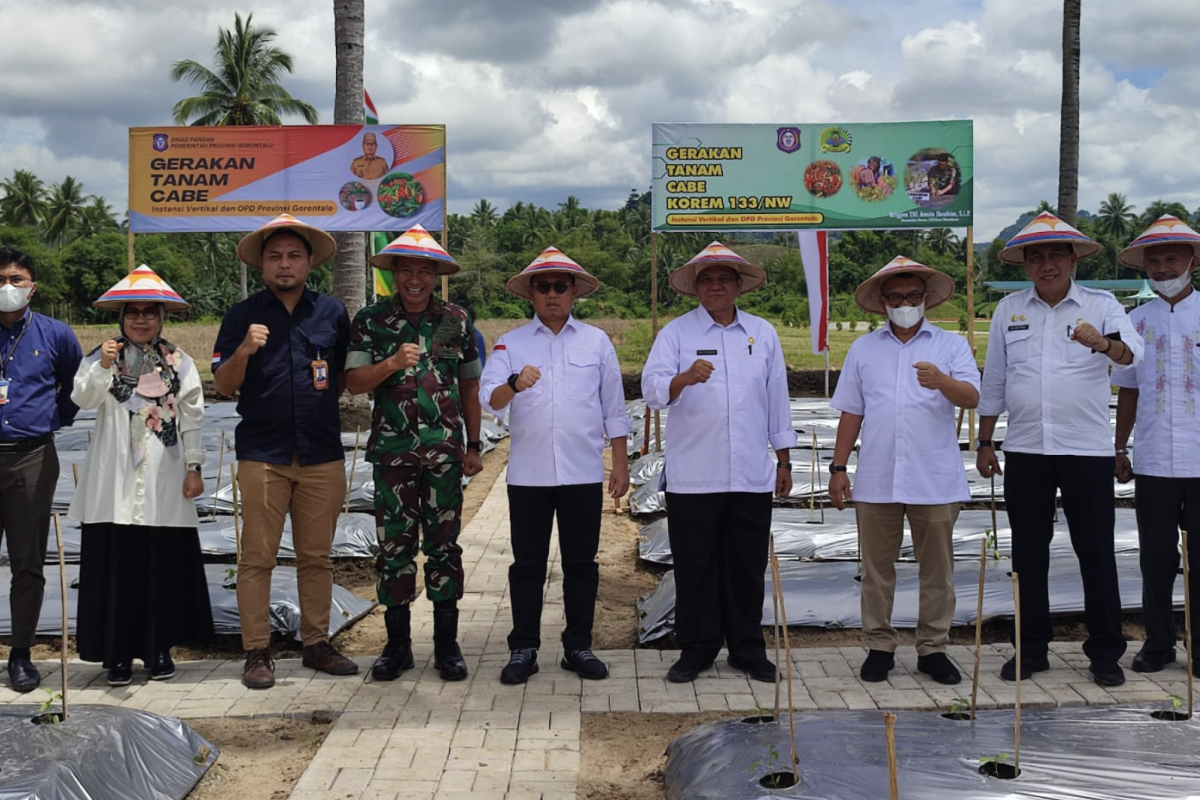 Korem 133/NWB dukung Gerakan 'Batanam Rica Sandiri'