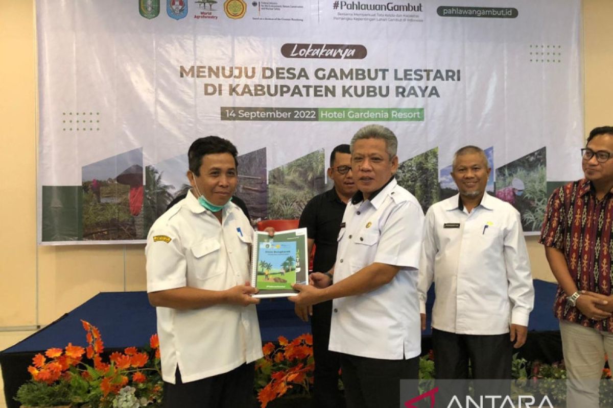 Kubu Raya laksanakan program pengelolaan gambut lestari