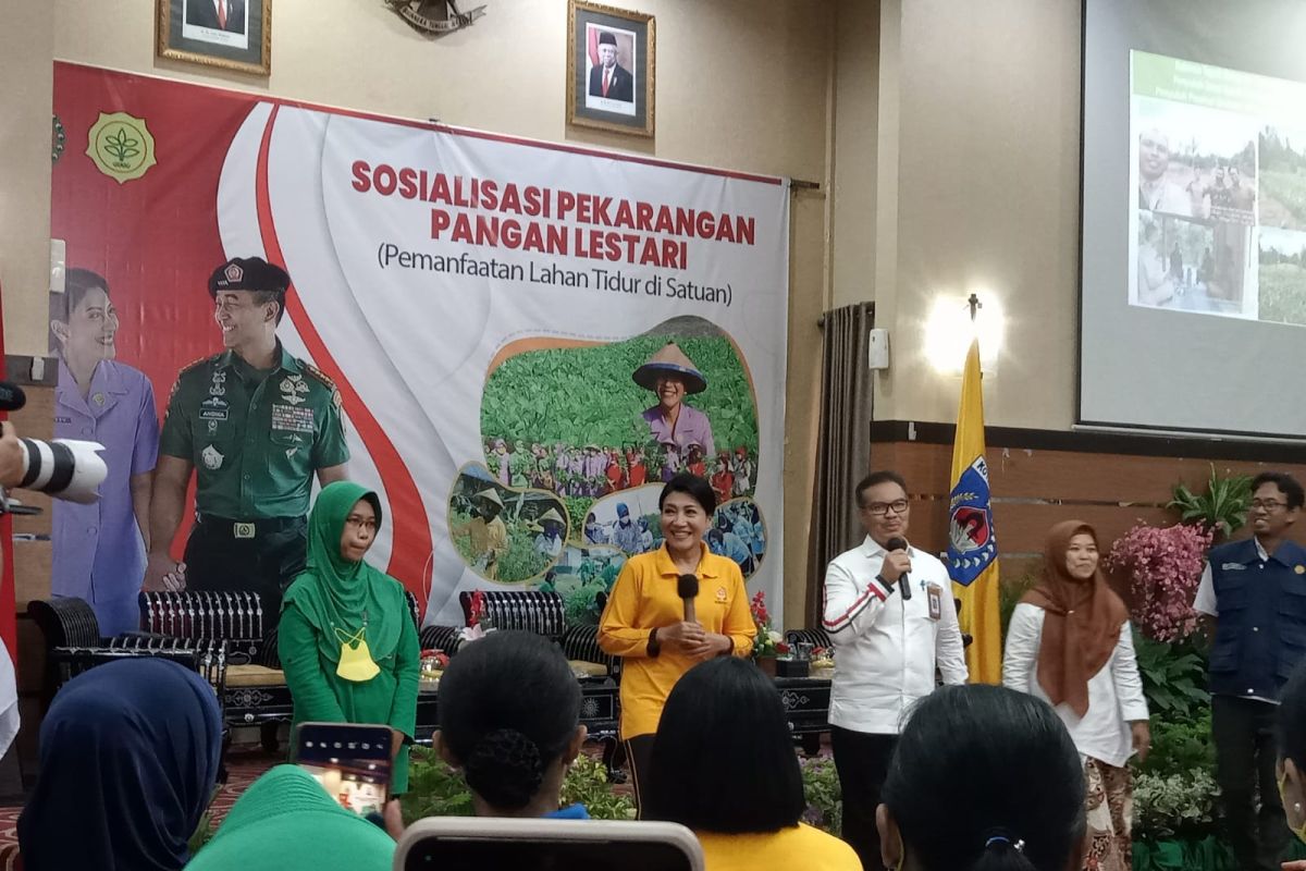 BKKBN: TNI berperan sosialisasikan KIE gizi guna menekan balita kerdil