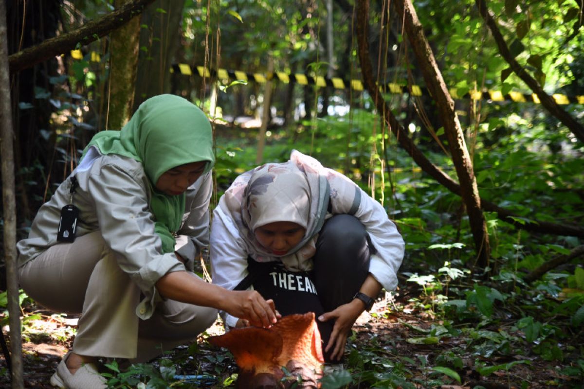 Sebentar lagi Kebun Raya pusat konservasi milik Universitas Pahlawan terwujud