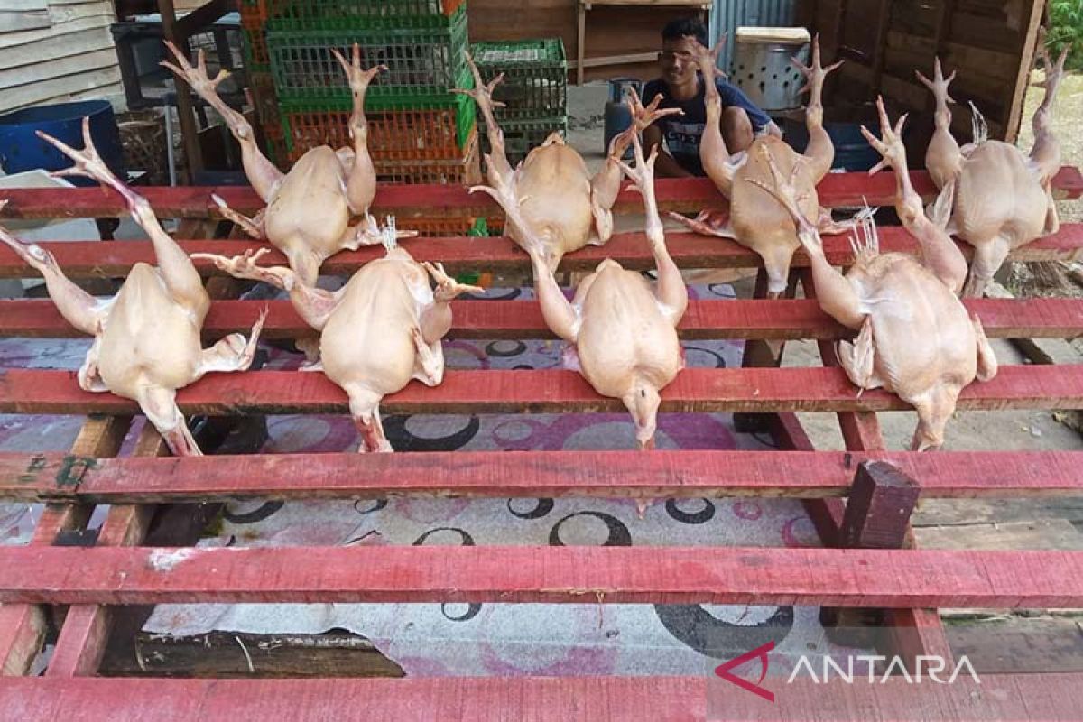 Harga daging ayam di Banda Aceh naik