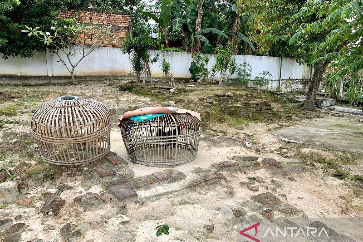 Kondisi Candi Solok Sipin Jambi