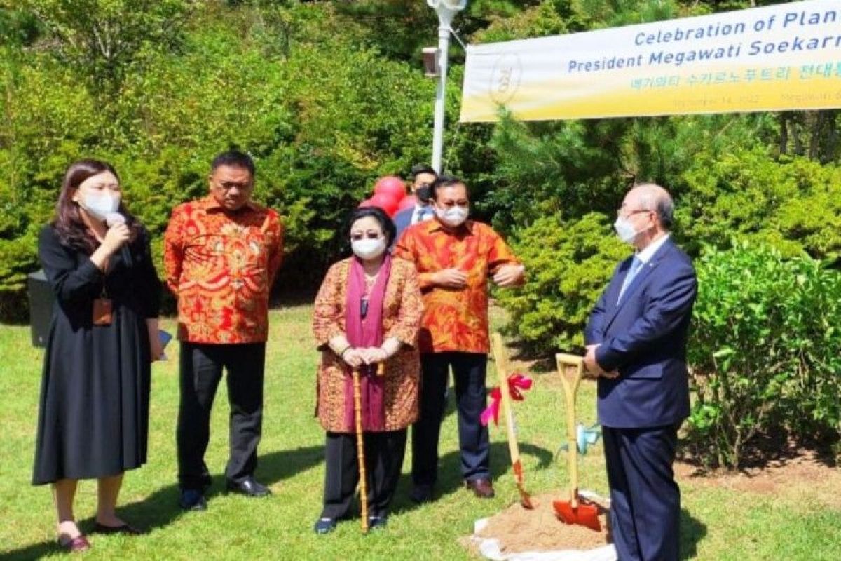 Megawati ajak masyarakat untuk cintai lingkungan dengan menanam pohon