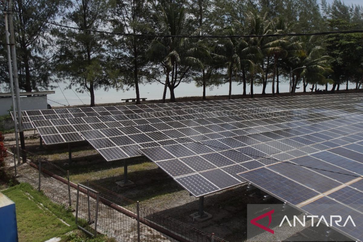 PLN dukung kelestarian melalui pemasangan PLTS  di Pulau Derawan