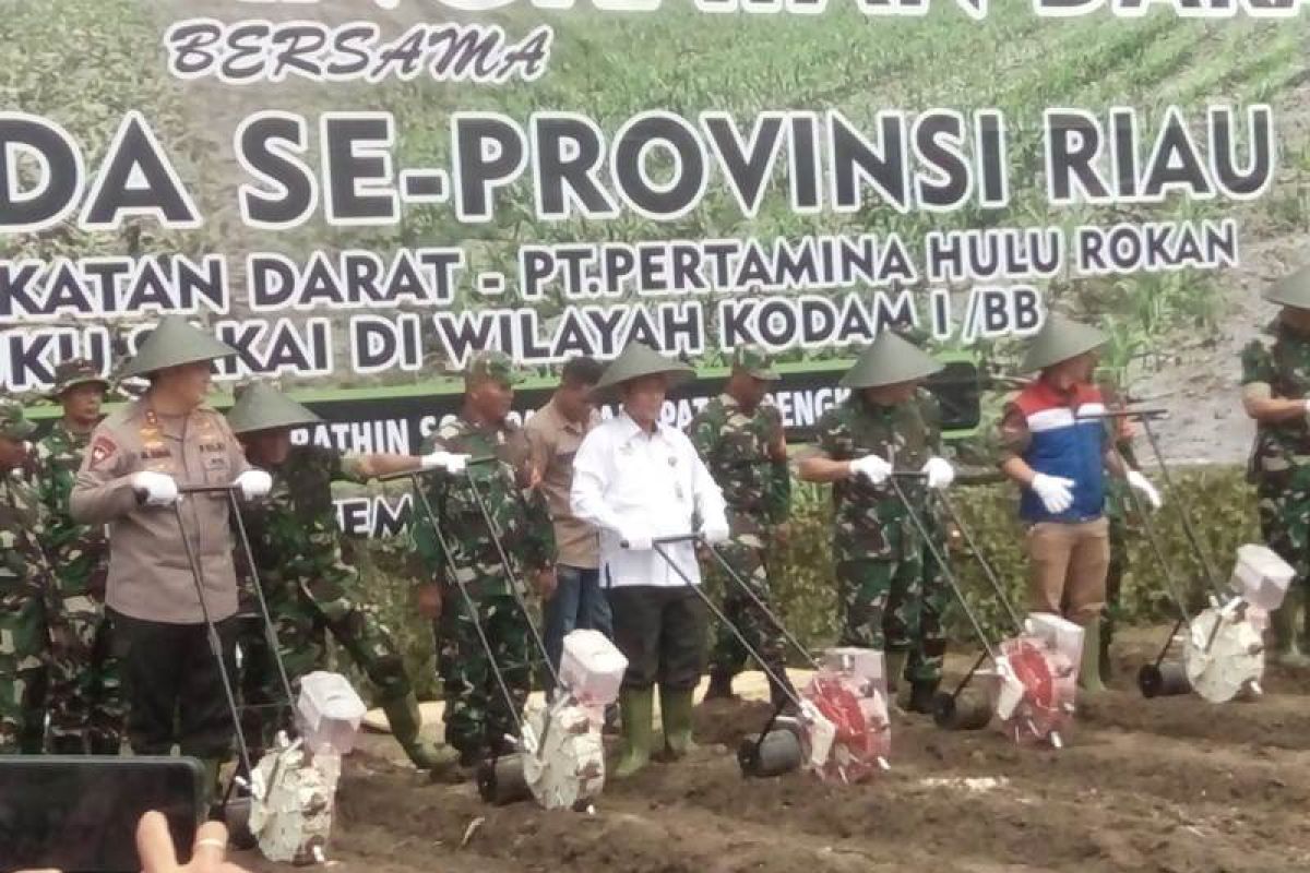 Pertamina Hulu Rokan olah 100 hektare lahan dukung ketersediaan pangan masyarakat