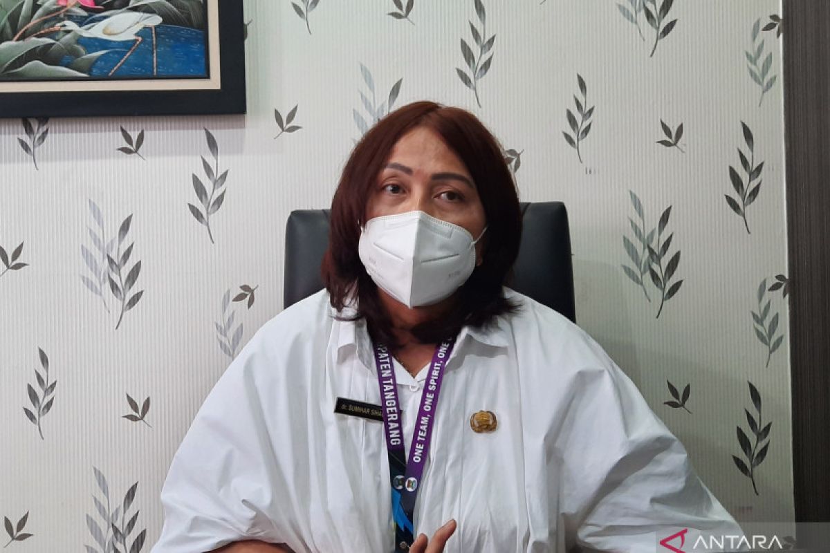 Kabupaten Tangerang sediakan pusat penanganan penyakit rabies di faskes daerah