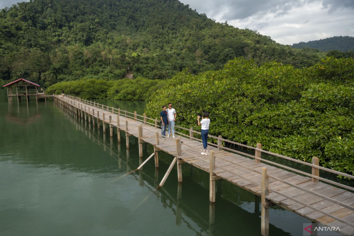 Kemendes PDTT catat hanya ada 6.136 desa yang punya hutan mangrove