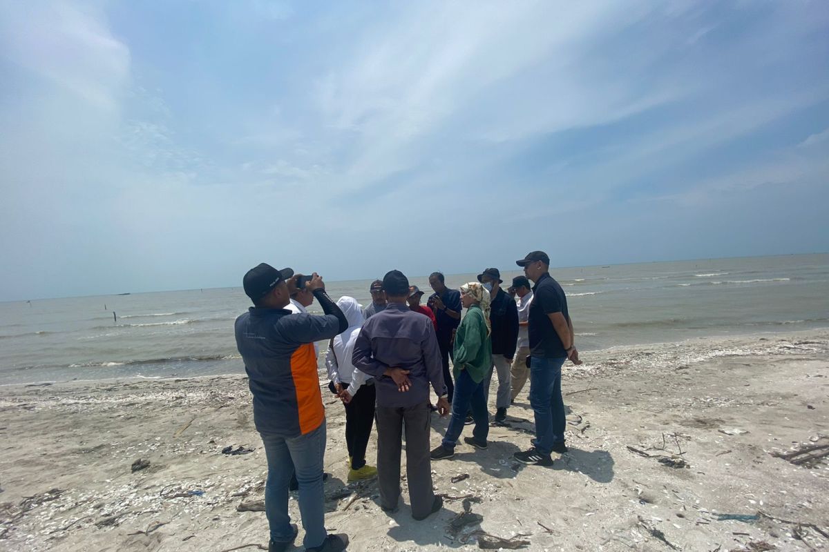 DLH Lampung: Uji lab ceceran minyak PHE OSES di Pantai Labuhan Maringgai masih di bawah ambang batas