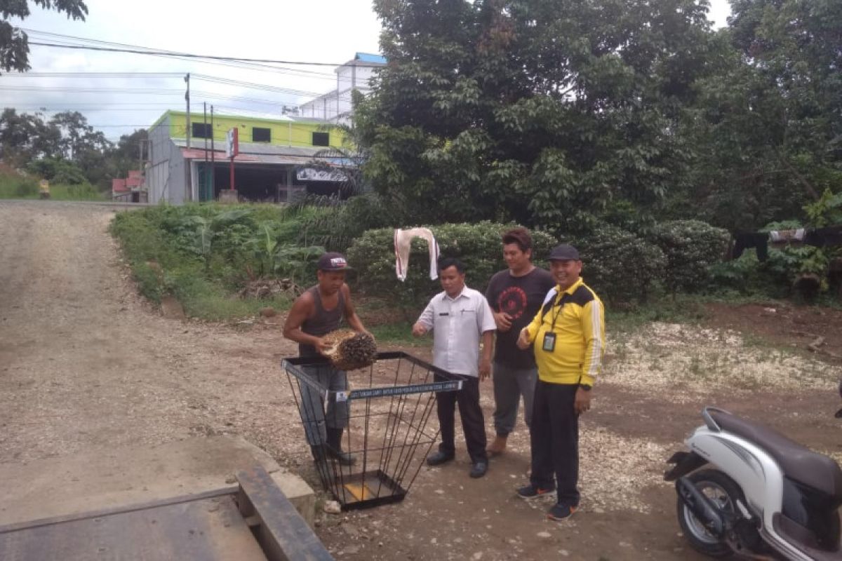 Baznas Dharmasraya adakan donasi sedekah satu tandan sawit