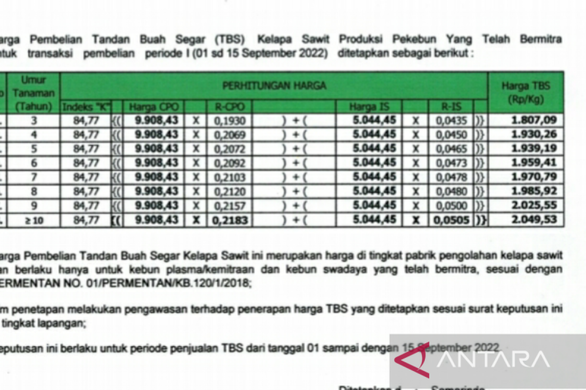 Harga TBS sawit Kaltim naik jadi Rp2.049,53 per kg