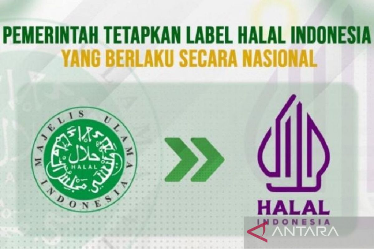 Pemprov Sultra dan Kemenag akan mewujudkan 10 juta sertifikasihalal