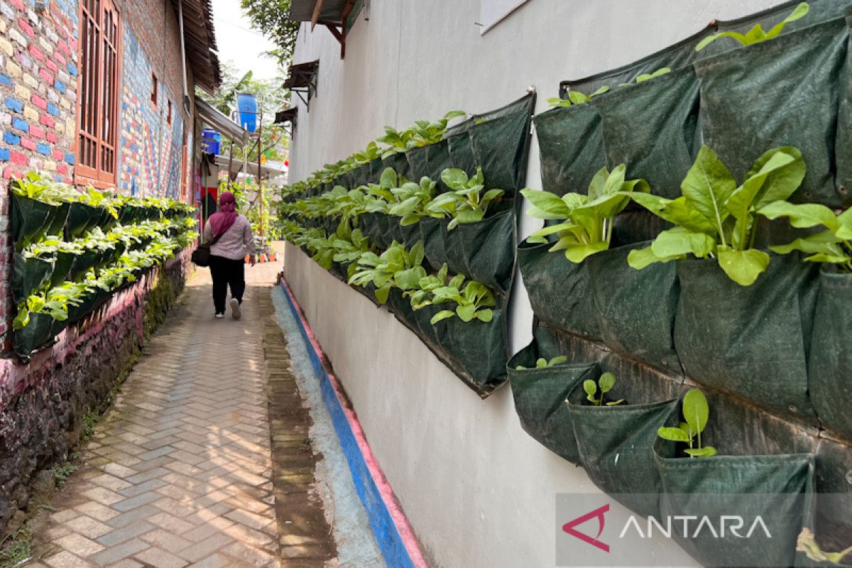 Kota Yogyakarta kemas kampung sayur dalam balutan ekonomi kreatif