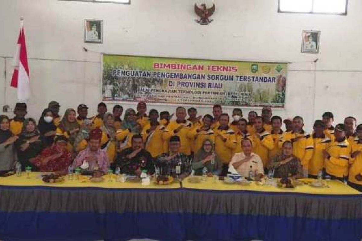 BPTP Riau latih 200 peserta untuk kembangkan tanaman sorgum, tanaman multi guna