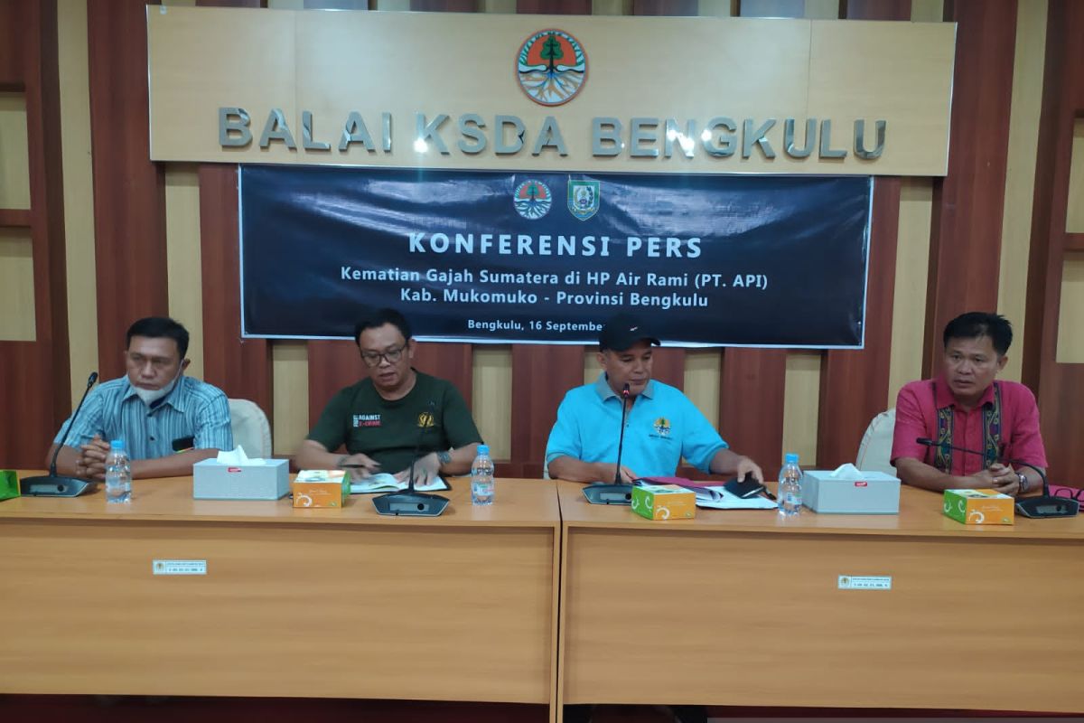 BKSDA: Penyebab kematian gajah di Bengkulu diduga karena sakit