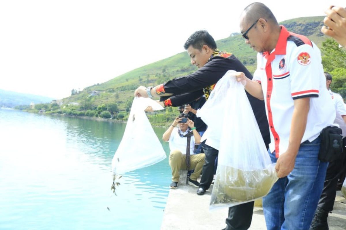 KMDT bersama Bupati Samosir tabur 100 ribu benih ikan di Danau Toba