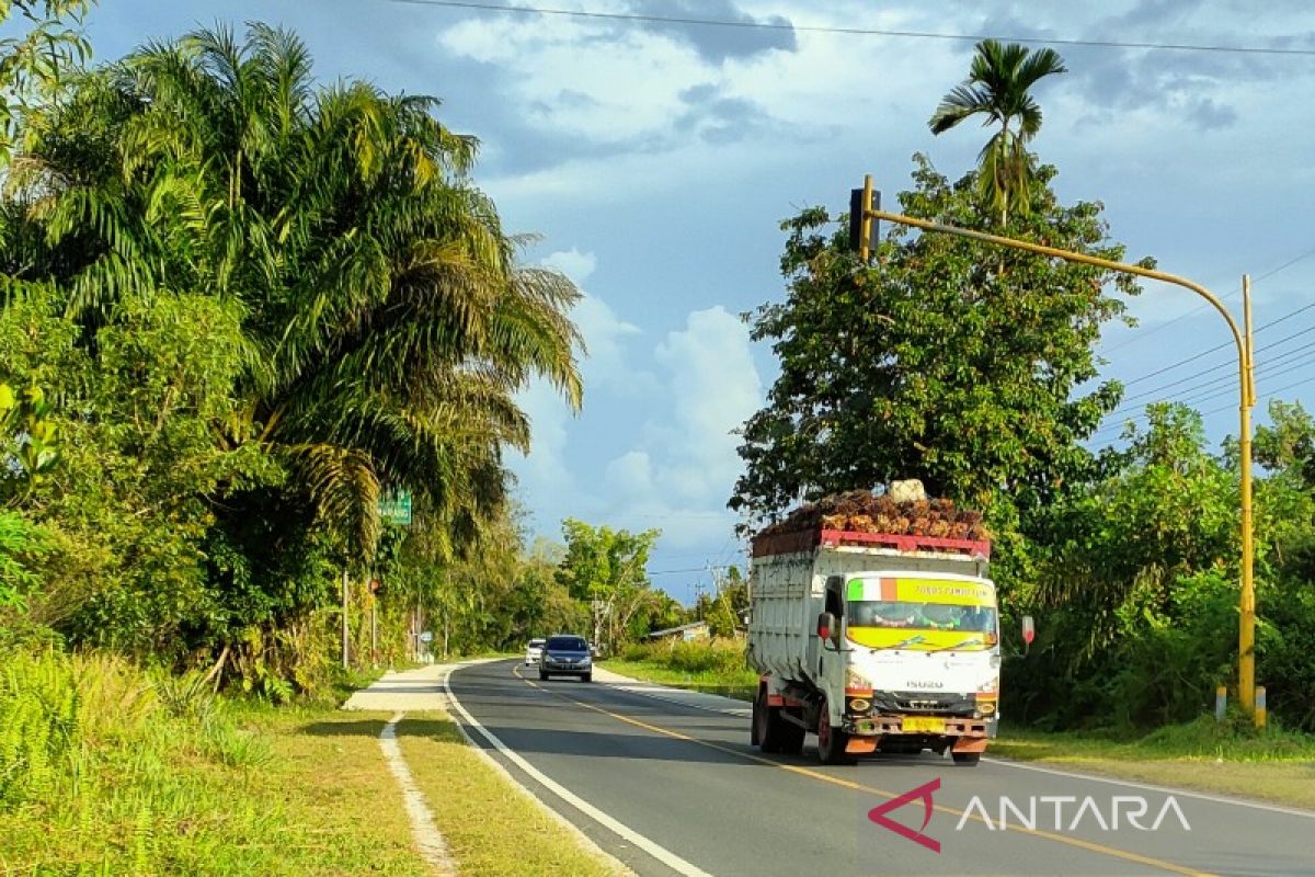 Angkutan industri tambang maupun sawit wajib gunakan BBM nonsubsidi