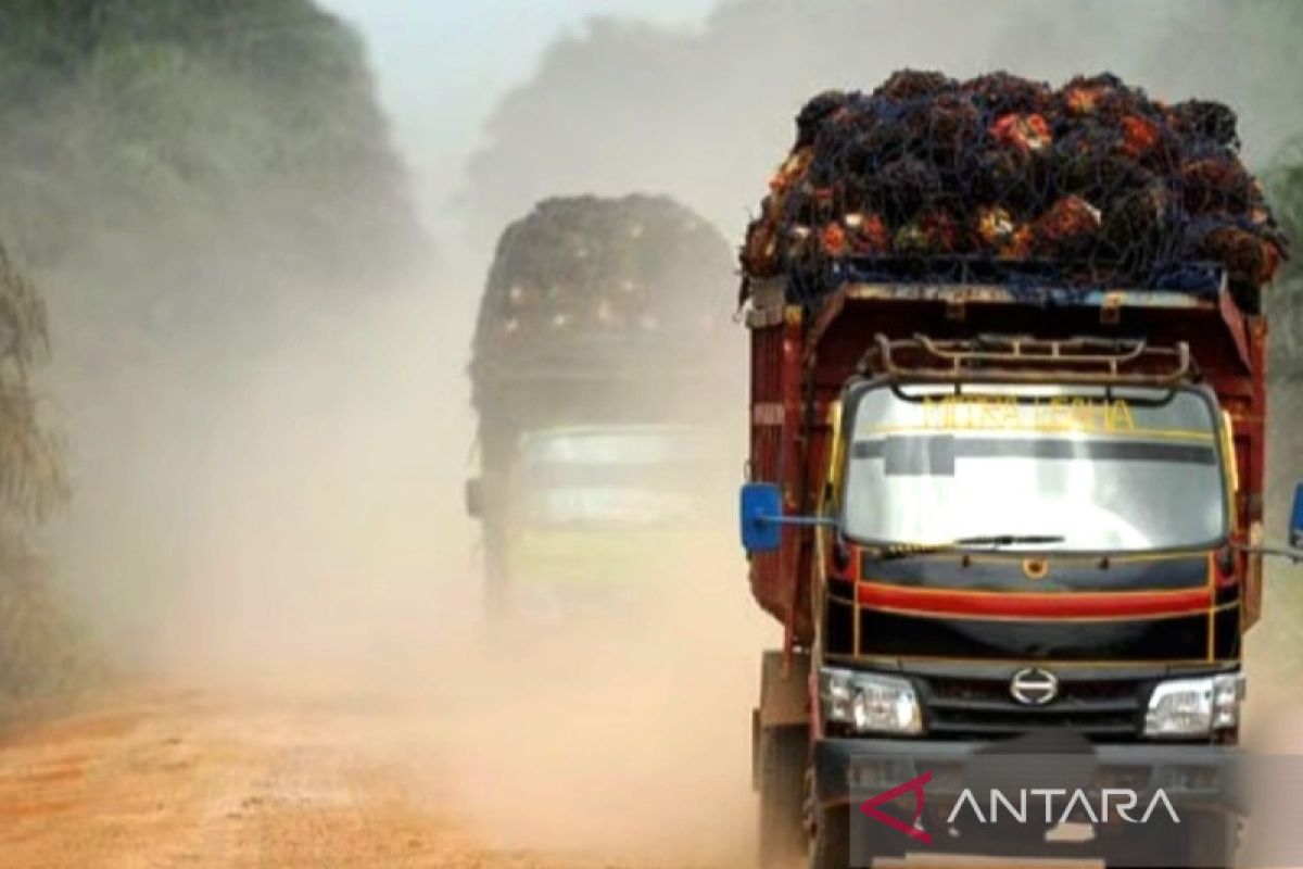 Pertamina: Truk sawit wajib gunakan BBM nonsubsidi