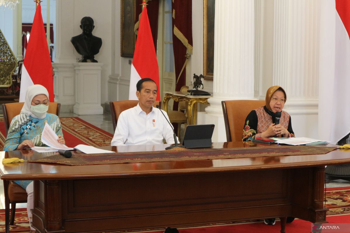 Fuel cash assistance disbursement going well: President Jokowi