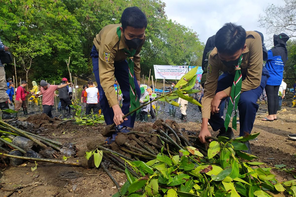 Ribuan mangrove ditanam di perairan Bengawan Donan