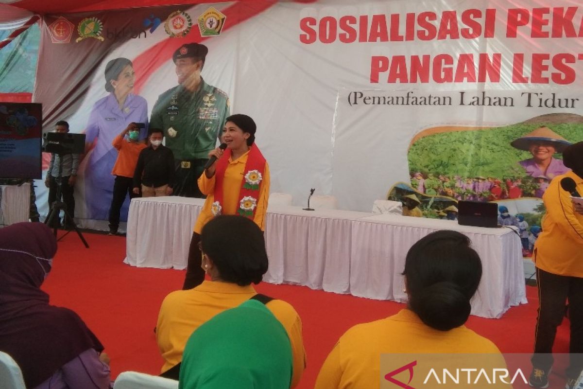 Pemprov Sulawesi Tenggara dan Dharma Pertiwi sinergi cegah stunting lewat P2L