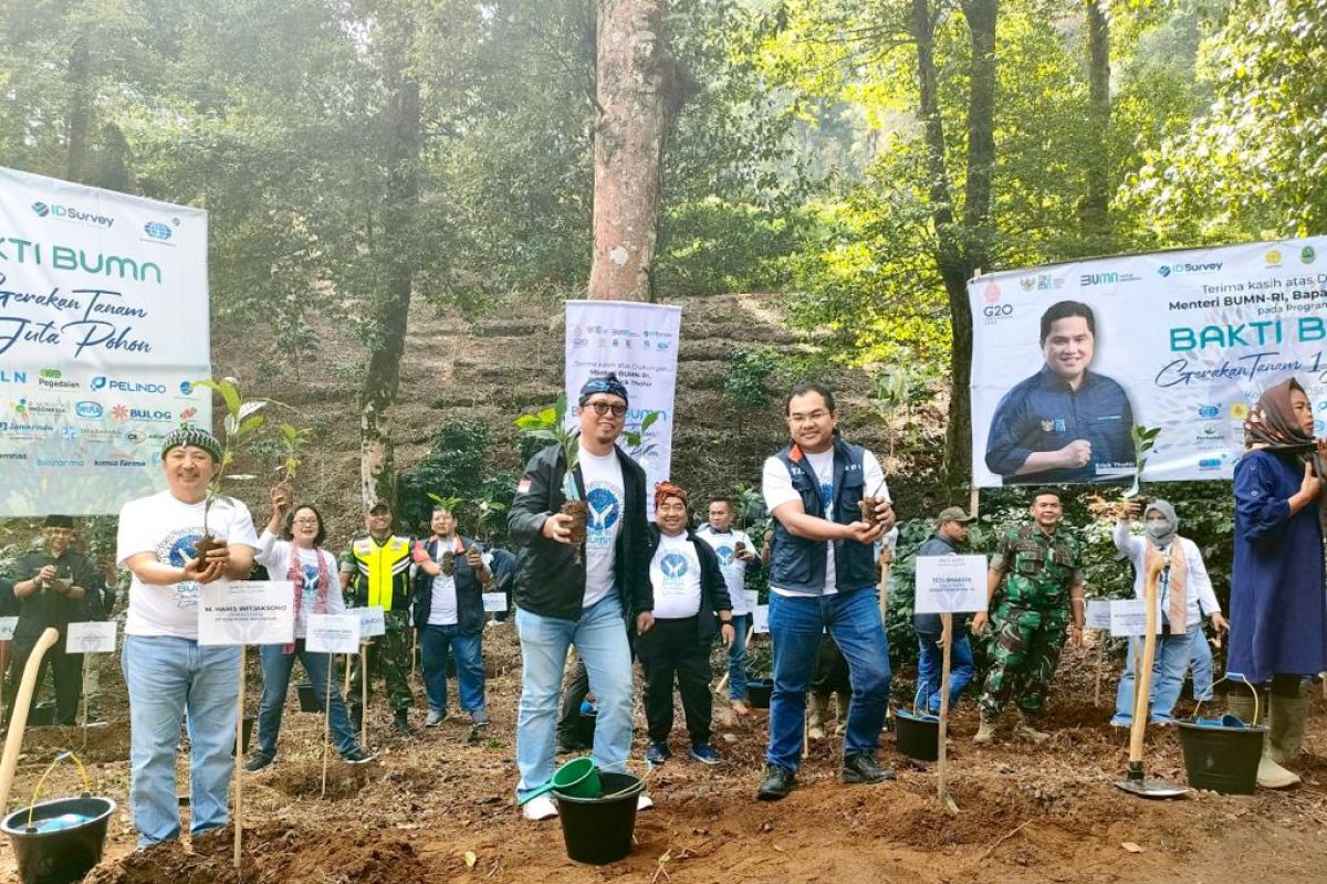 Munadi Herlambang: Jasa Raharja Partisipasi Penanaman 20.000 Pohon di Seluruh Indonesia