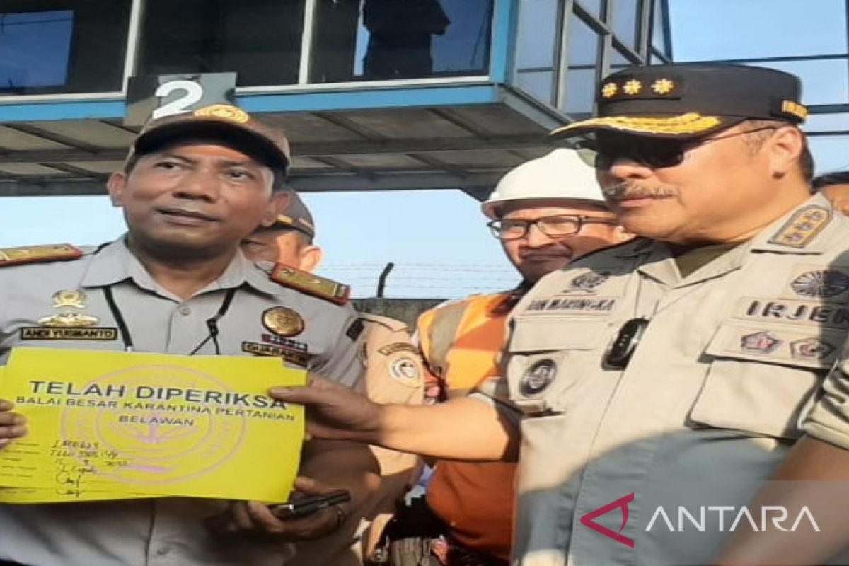 26 kabupaten/kota di Sumut zona merah penyakit mulut dan kaki