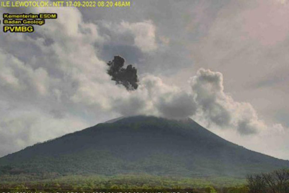 Aktivitas erupsi Gunung Ili Lewotolok meningkat