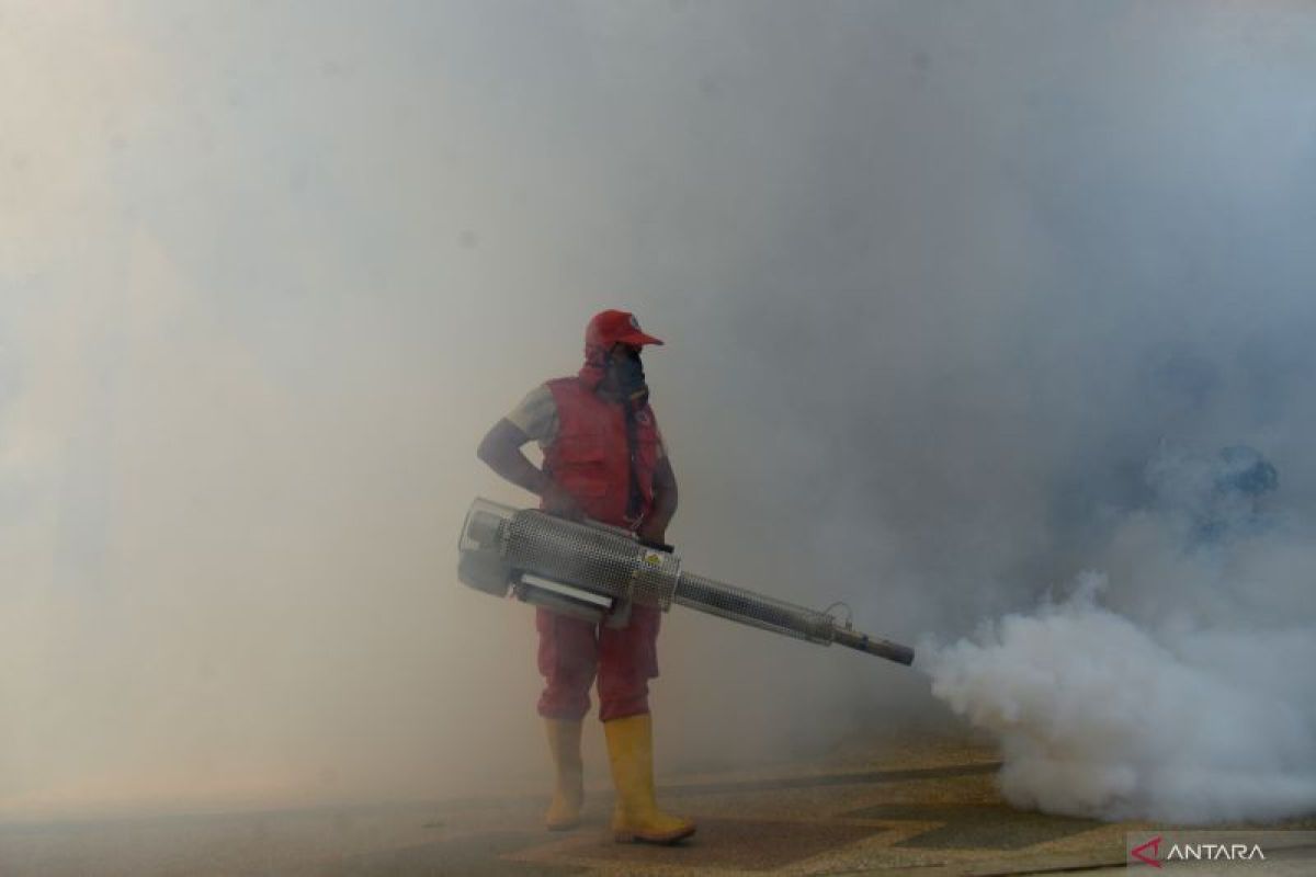 Riau waspada DBD menyusul adanya peningkatan kasus