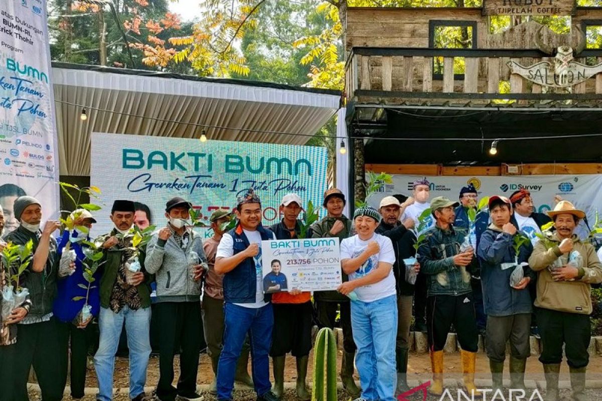 Jasa Raharja hijaukan seluruh Indonesia dengan 20.000 pohon