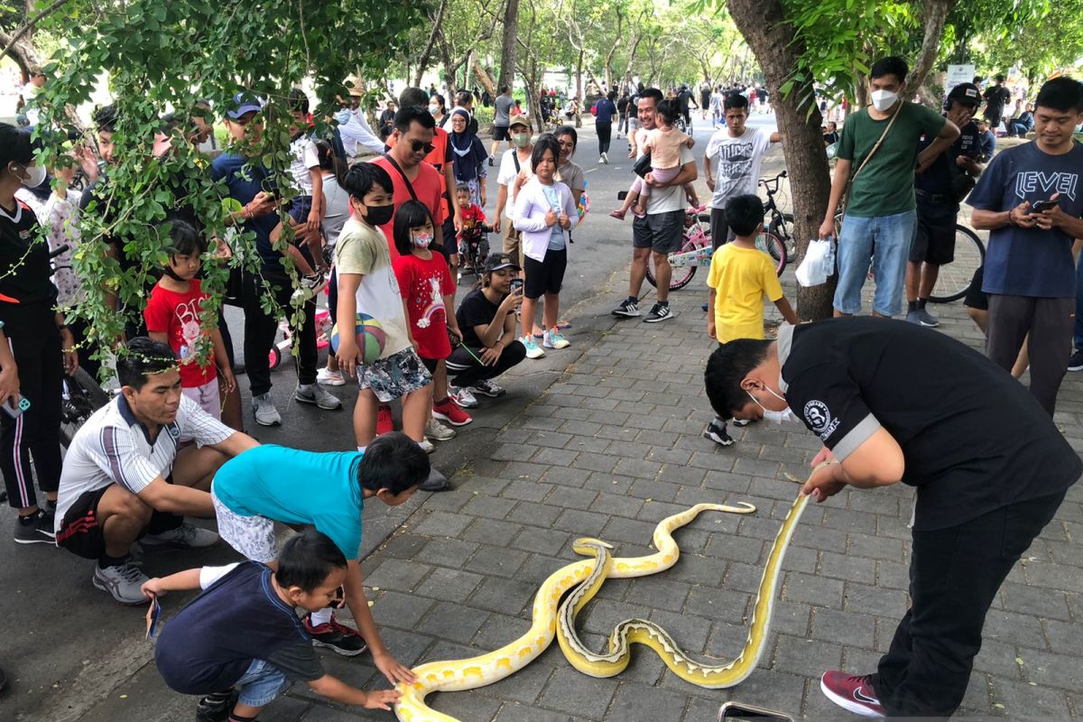 Komunitas reptil di Bali edukasi masyarakat saat 