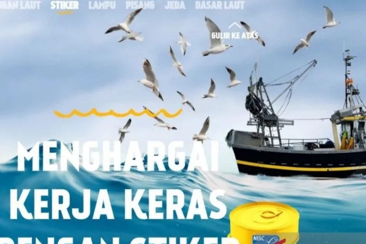 MSC : Perikanan butuh jeda untuk dan pulihkan populasi